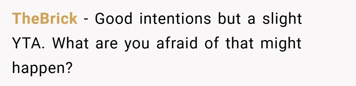 TheBrick − Good intentions but a slight YTA. What are you afraid of that might happen?
