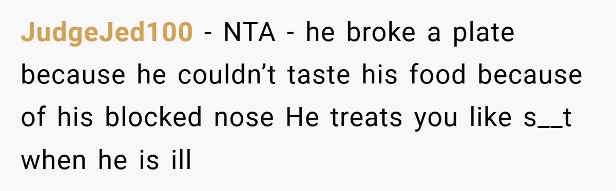 JudgeJed100 − NTA - he broke a plate because he couldn’t taste his food because of his blocked nose He treats you like s__t when he is ill