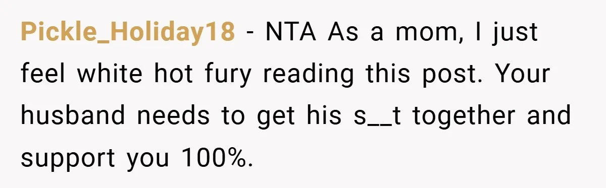 Pickle_Holiday18 − NTA As a mom, I just feel white hot fury reading this post. Your husband needs to get his s__t together and support you 100%.