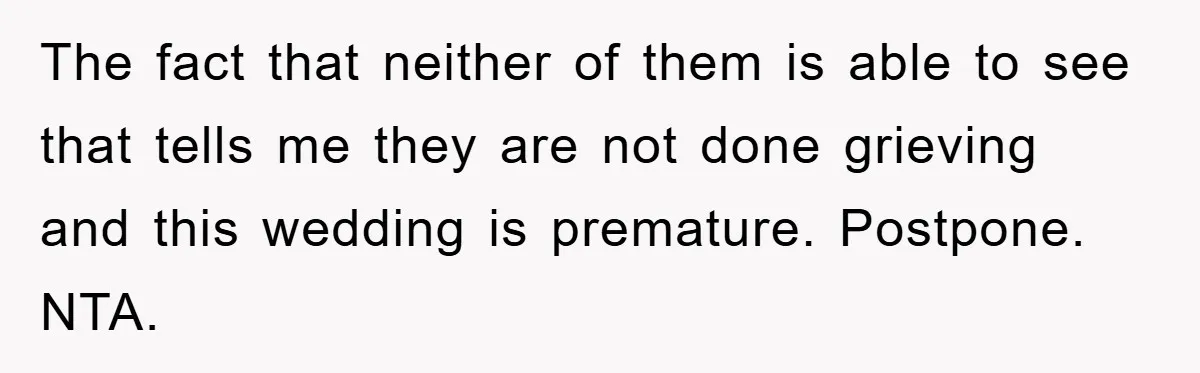The fact that neither of them is able to see that tells me they are not done grieving and this wedding is premature. Postpone. NTA.