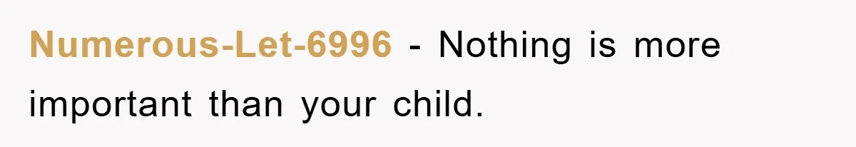 Numerous-Let-6996 − Nothing is more important than your child.