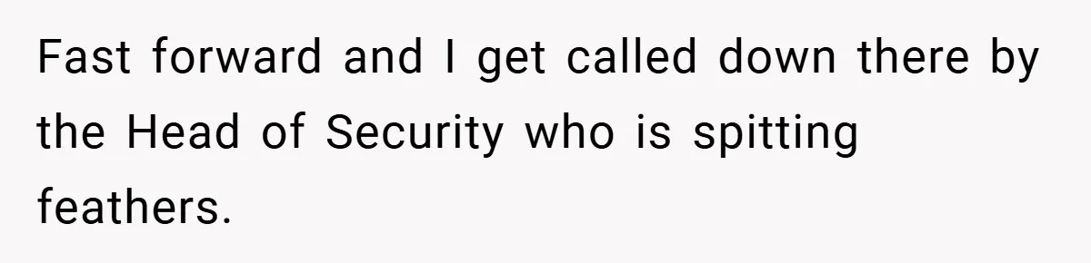 HR Boss Enforced Harsh Rules On Everyone, Until They Applied To Her Fast forward and I get called down there by the Head of Security who is spitting feathers.