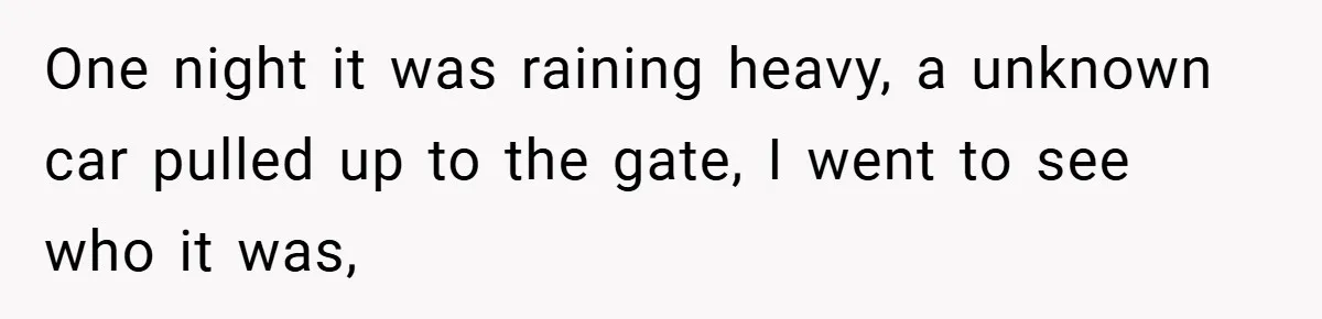 HR Boss Enforced Harsh Rules On Everyone, Until They Applied To Her One night it was raining heavy, a unknown car pulled up to the gate, I went to see who it was,