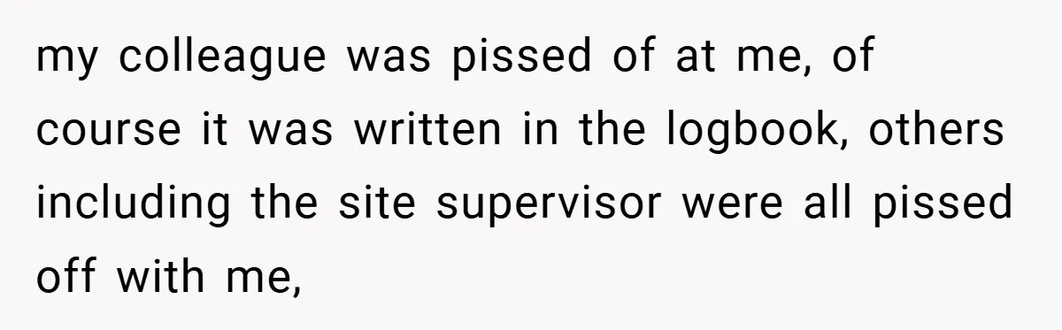 HR Boss Enforced Harsh Rules On Everyone, Until They Applied To Her my colleague was pissed of at me, of course it was written in the logbook, others including the site supervisor were all pissed off with me,