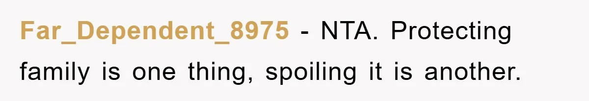 Far_Dependent_8975 − NTA. Protecting family is one thing, spoiling it is another.