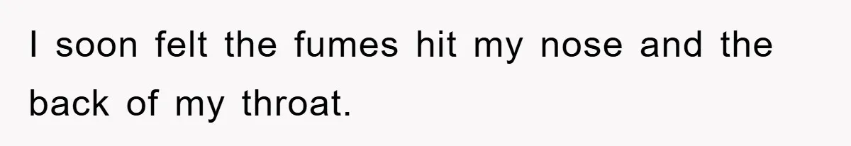 I soon felt the fumes hit my nose and the back of my throat.