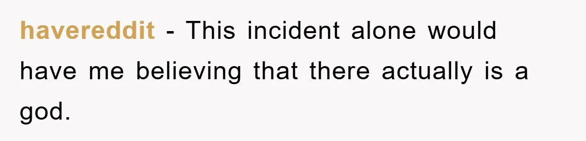 havereddit − This incident alone would have me believing that there actually is a god.