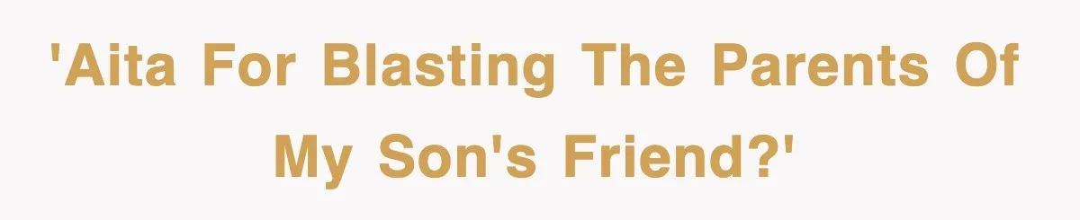 'AITA for blasting the parents of my son's friend?'
