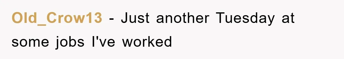 Man's Dream Job Almost Ruined by Vengeful Employee's Lies Old_Crow13 - Just another Tuesday at some jobs I've worked
