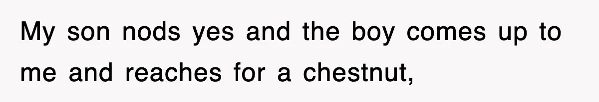 My son nods yes and the boy comes up to me and reaches for a chestnut,
