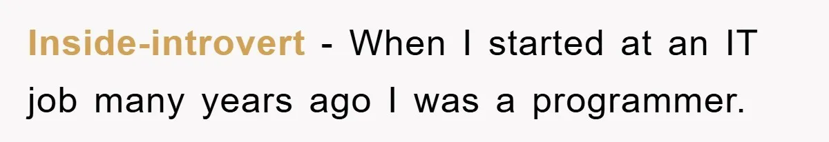 Inside-introvert − When I started at an IT job many years ago I was a programmer.