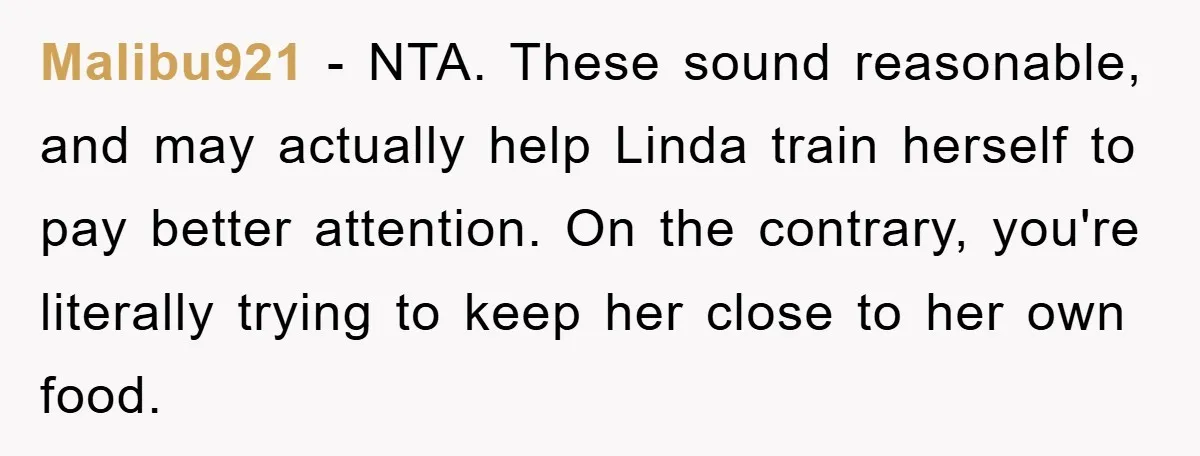Malibu921 - NTA. These sound reasonable, and may actually help Linda train herself to pay better attention. On the contrary, you're literally trying to keep her close to her own...