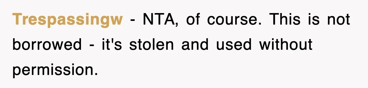 Trespassingw − NTA, of course. This is not borrowed - it's stolen and used without permission.