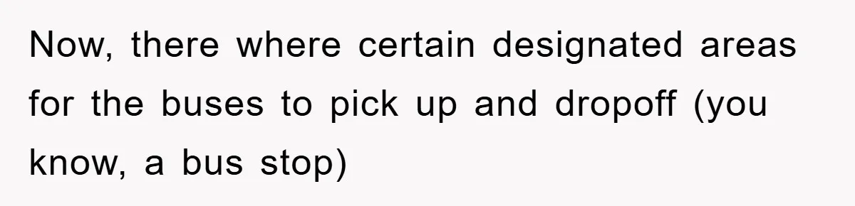 Now, there where certain designated areas for the buses to pick up and dropoff (you know, a bus stop)