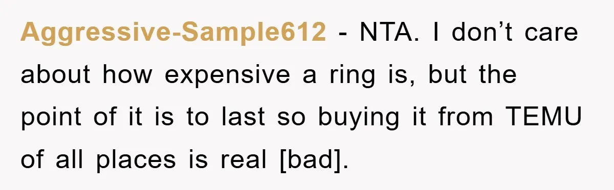 Aggressive-Sample612 - NTA. I don’t care about how expensive a ring is, but the point of it is to last so buying it from TEMU of all places is real...