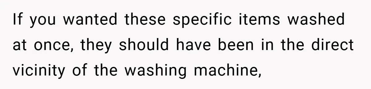If you wanted these specific items washed at once, they should have been in the direct vicinity of the washing machine,