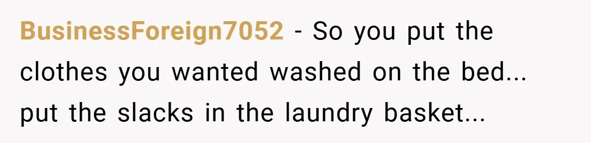 BusinessForeign7052 − So you put the clothes you wanted washed on the bed... put the slacks in the laundry basket...