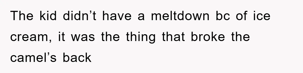 The kid didn’t have a meltdown bc of ice cream, it was the thing that broke the camel’s back