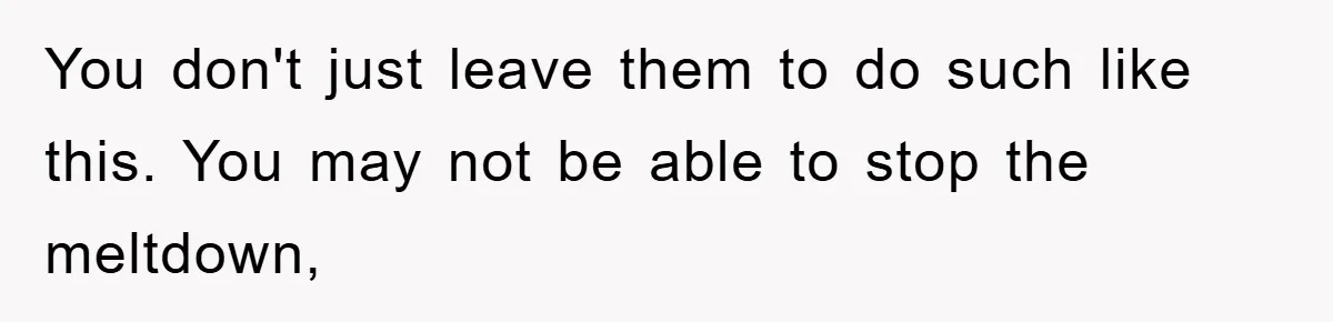 You don't just leave them to do such like this. You may not be able to stop the meltdown,