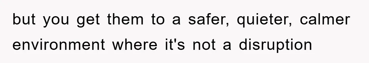 but you get them to a safer, quieter, calmer environment where it's not a disruption