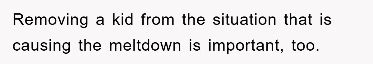 Removing a kid from the situation that is causing the meltdown is important, too.