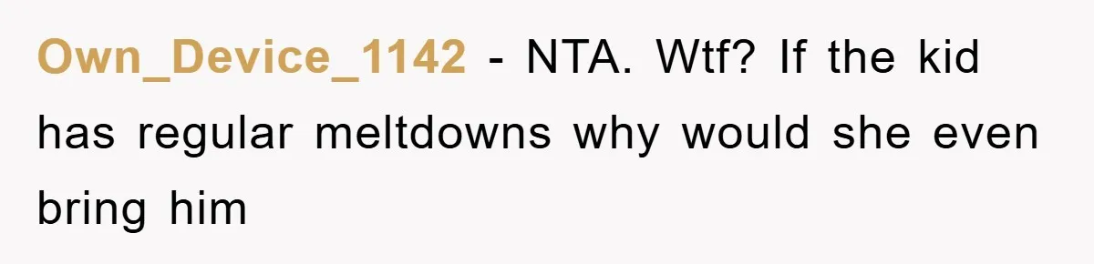 Own_Device_1142 − NTA. Wtf? If the kid has regular meltdowns why would she even bring him