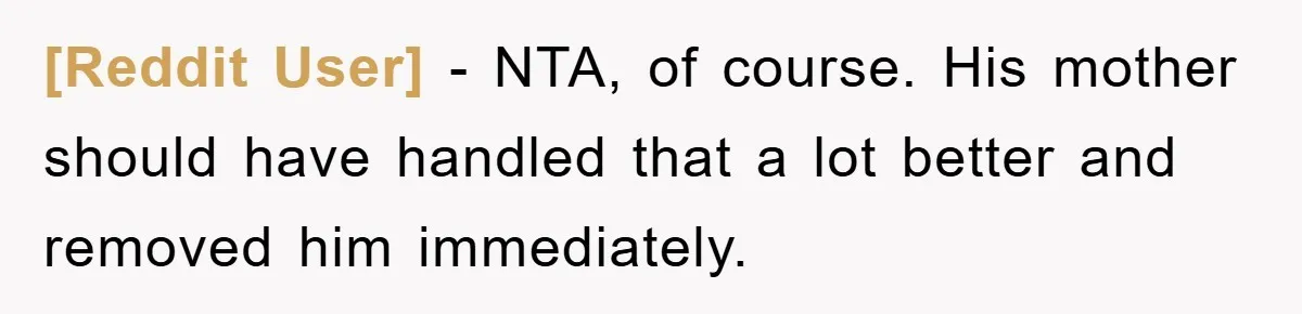 [Reddit User] − NTA, of course. His mother should have handled that a lot better and removed him immediately.