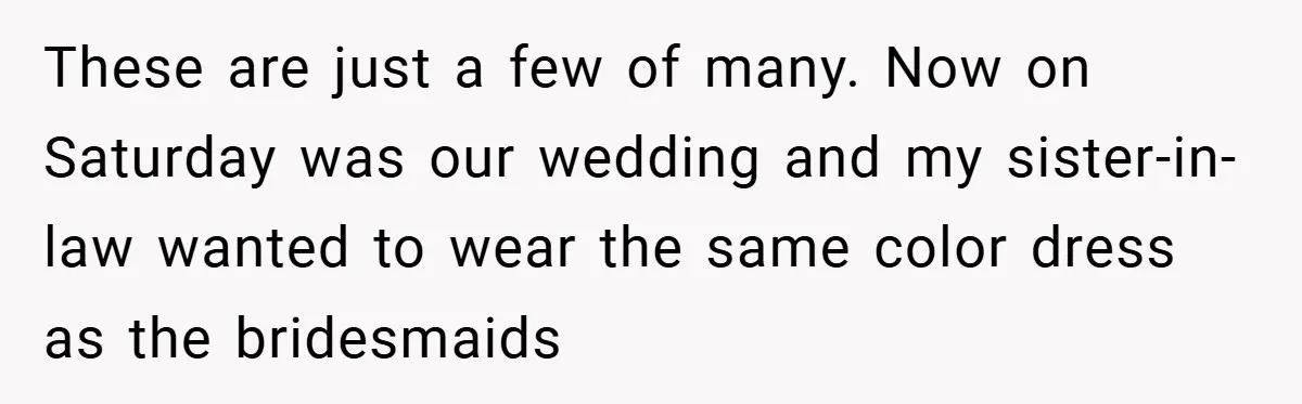 These are just a few of many. Now on Saturday was our wedding and my sister-in-law wanted to wear the same color dress as the bridesmaids