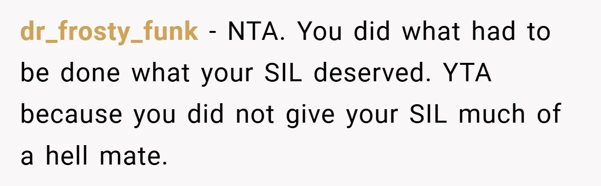 dr_frosty_funk − NTA. You did what had to be done what your SIL deserved. YTA because you did not give your SIL much of a hell mate.
