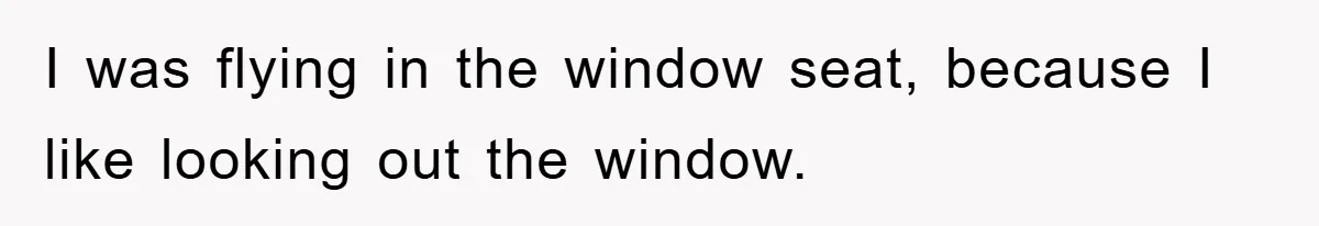 I was flying in the window seat, because I like looking out the window.