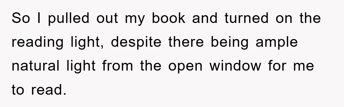 So I pulled out my book and turned on the reading light, despite there being ample natural light from the open window for me to read.