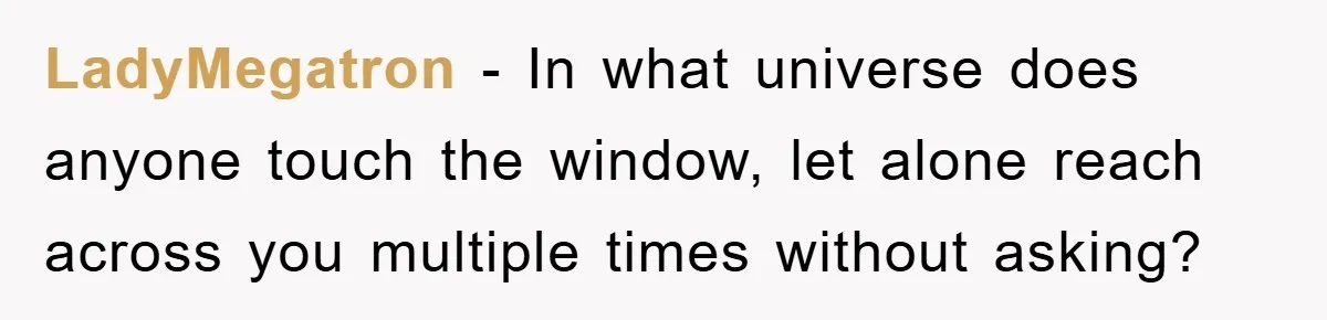 LadyMegatron − In what universe does anyone touch the window, let alone reach across you multiple times without asking?