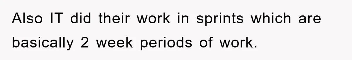 Also IT did their work in sprints which are basically 2 week periods of work.