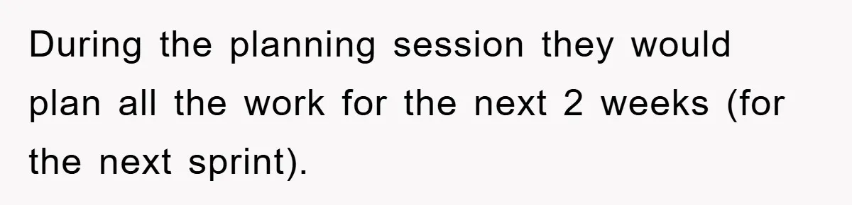 During the planning session they would plan all the work for the next 2 weeks (for the next sprint).