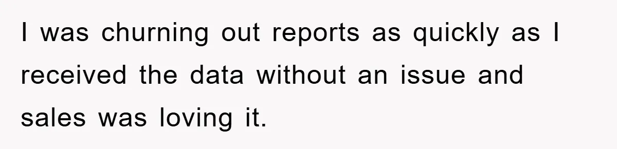 I was churning out reports as quickly as I received the data without an issue and sales was loving it.