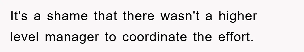 It's a shame that there wasn't a higher level manager to coordinate the effort.