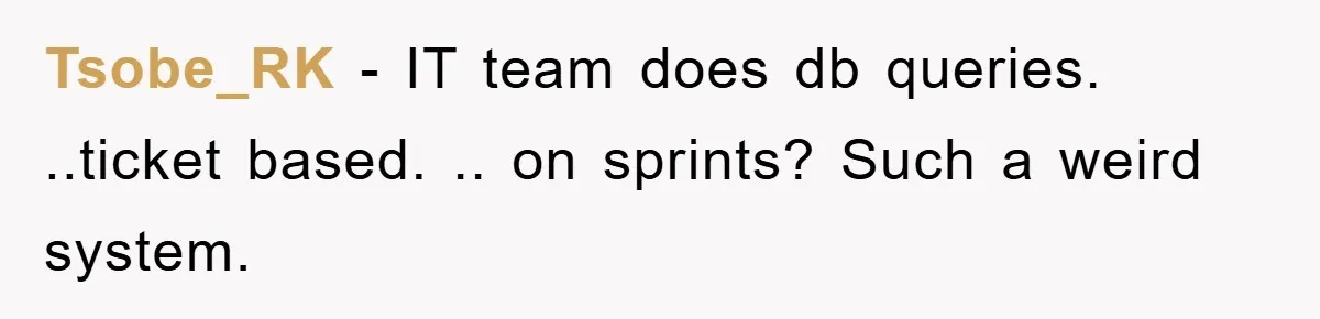 Tsobe_RK − IT team does db queries. ..ticket based. .. on sprints? Such a weird system.