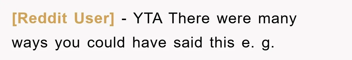 [Reddit User] − YTA There were many ways you could have said this e. g.