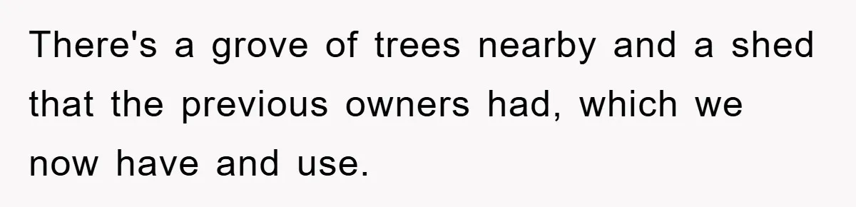 There's a grove of trees nearby and a shed that the previous owners had, which we now have and use.