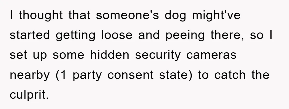 I thought that someone's dog might've started getting loose and peeing there, so I set up some hidden security cameras nearby (1 party consent state) to catch the culprit.