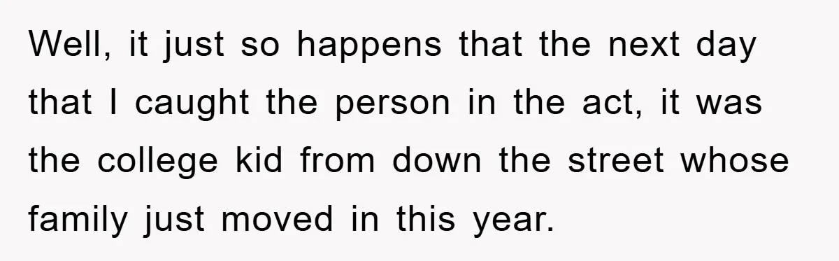 Well, it just so happens that the next day that I caught the person in the act, it was the college kid from down the street whose family just moved...