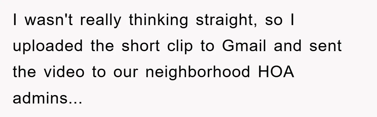 I wasn't really thinking straight, so I uploaded the short clip to Gmail and sent the video to our neighborhood HOA admins...