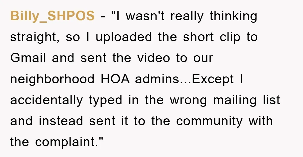 Billy_SHPOS − "I wasn't really thinking straight, so I uploaded the short clip to Gmail and sent the video to our neighborhood HOA admins...Except I accidentally typed in the wrong...
