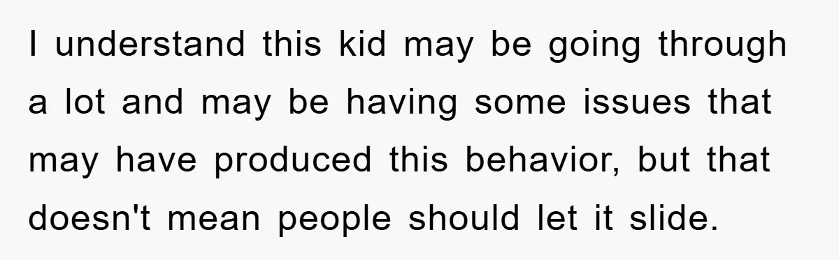 I understand this kid may be going through a lot and may be having some issues that may have produced this behavior, but that doesn't mean people should let it...