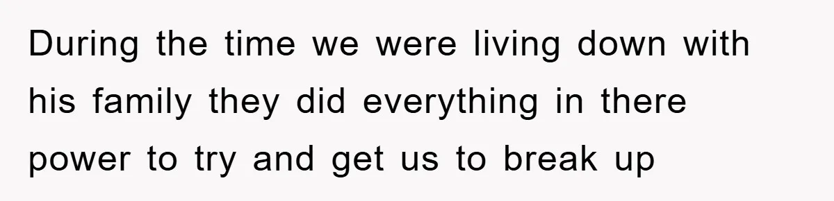 During the time we were living down with his family they did everything in there power to try and get us to break up