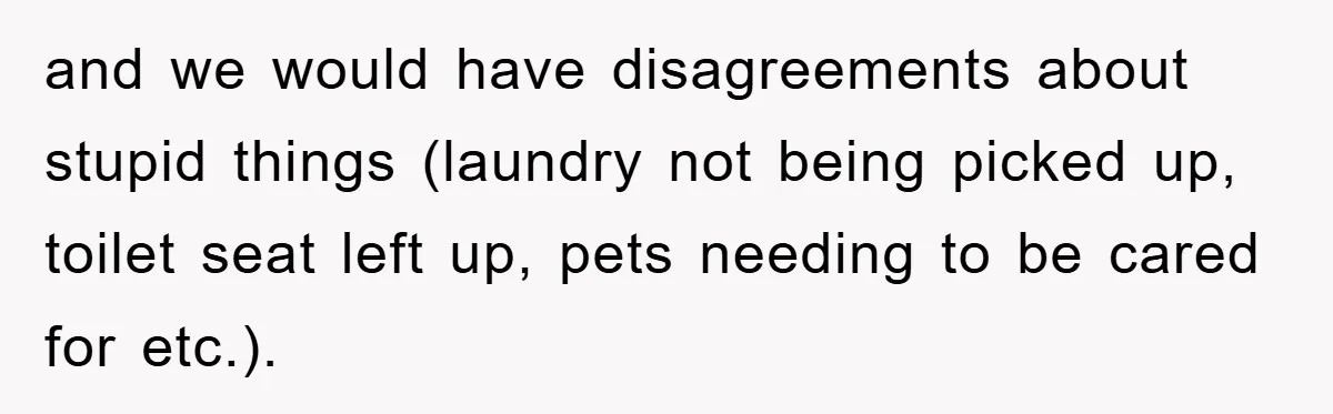 and we would have disagreements about stupid things (laundry not being picked up, toilet seat left up, pets needing to be cared for etc.).