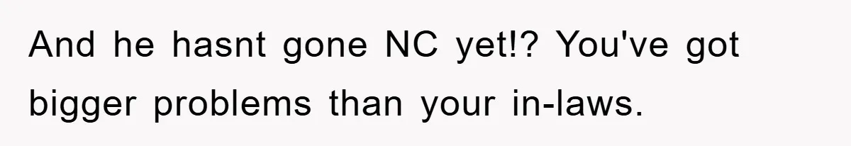 And he hasnt gone NC yet!? You've got bigger problems than your in-laws.