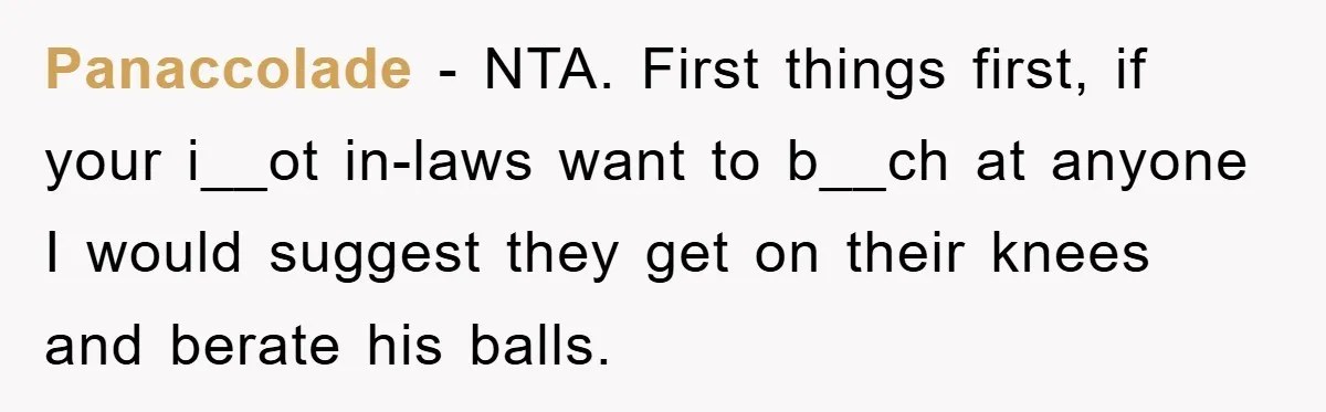 Panaccolade − NTA. First things first, if your i__ot in-laws want to b__ch at anyone I would suggest they get on their knees and berate his balls.
