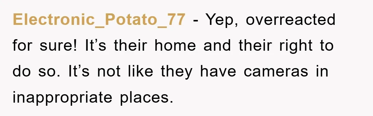 Electronic_Potato_77 − Yep, overreacted for sure! It’s their home and their right to do so. It’s not like they have cameras in inappropriate places.