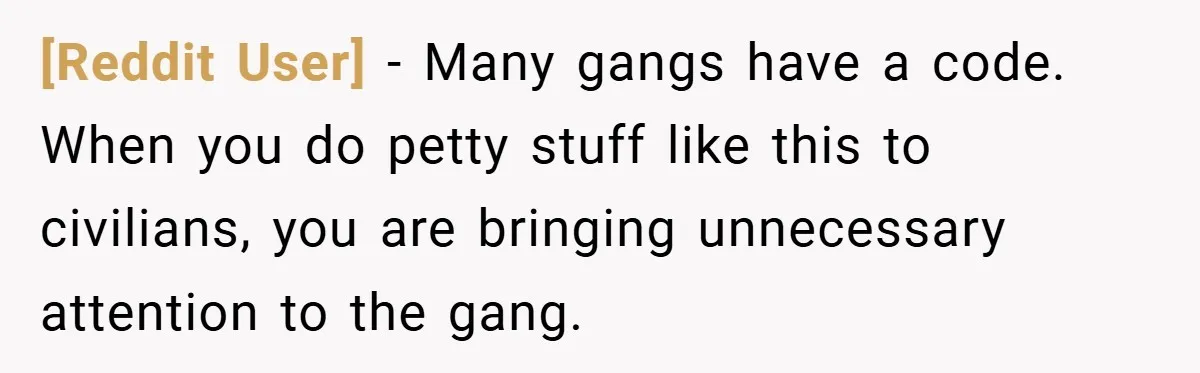 [Reddit User] − Many gangs have a code. When you do petty stuff like this to civilians, you are bringing unnecessary attention to the gang.